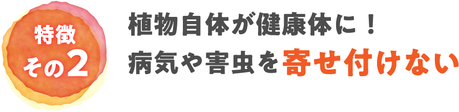 植物自体が健康体に！病気や害虫を寄せ付けない