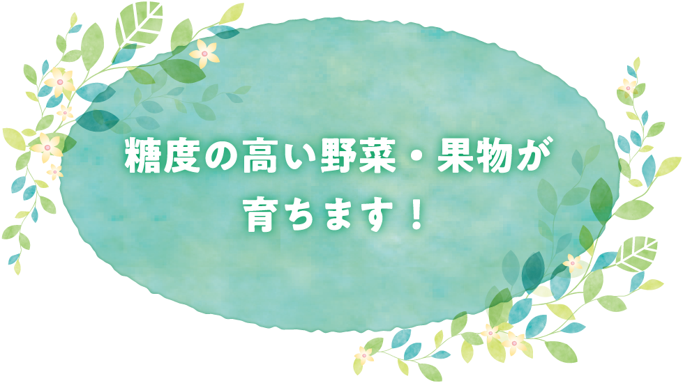 糖度の高い野菜・果物が育ちます！