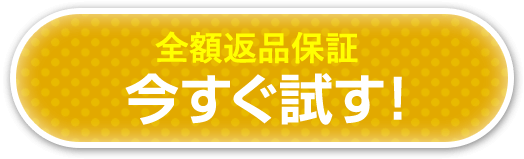 全額返品保証今すぐ試す！