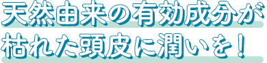 6つの天然エキスが発毛・育毛に効果大！